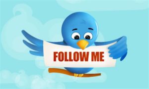 twitter-bird-pic