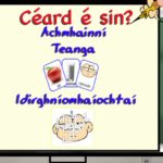 ces1 ces1